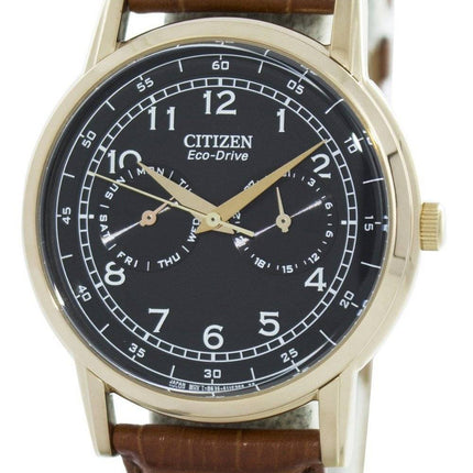 Citizen Eco-Drive Kleid AO9003-08E Herrenuhr