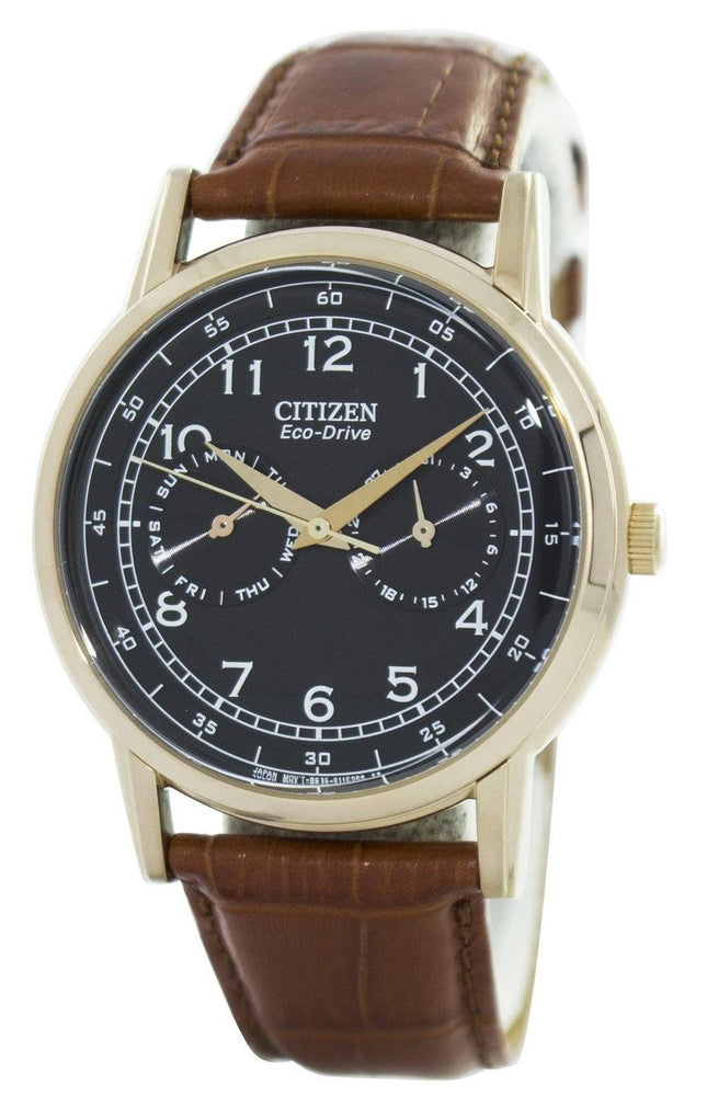 Citizen Eco-Drive Kleid AO9003-08E Herrenuhr