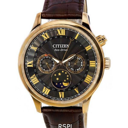 Citizen Eco-Drive Moon Phase Multifunktions schwarzes Zifferblatt AP1059-19E Herrenuhr