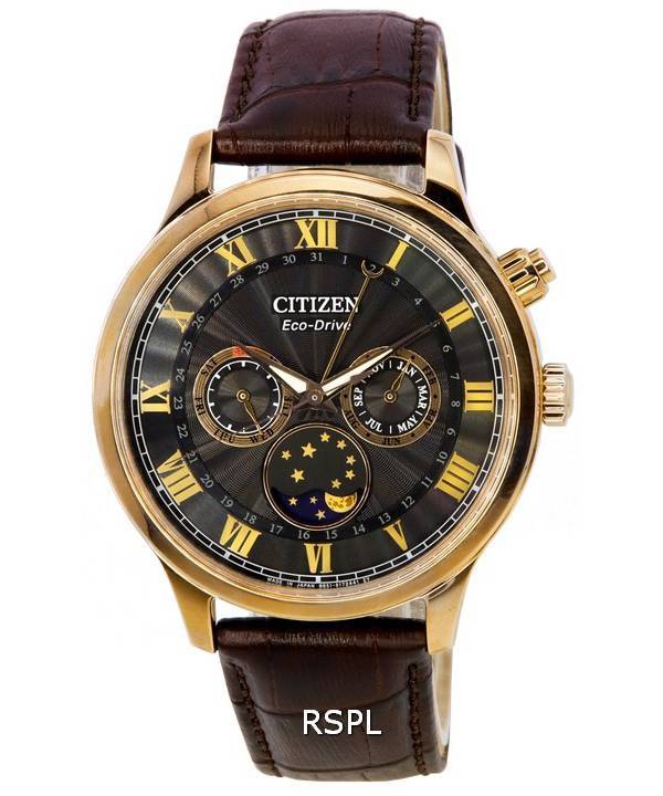 Citizen Eco-Drive Moon Phase Multifunktions schwarzes Zifferblatt AP1059-19E Herrenuhr