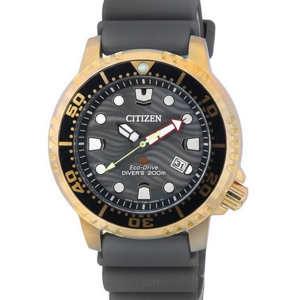 Citizen Promaster Eco-Drive Diver's BN0163-00H 200M Herrenuhr mit grauem Zifferblatt