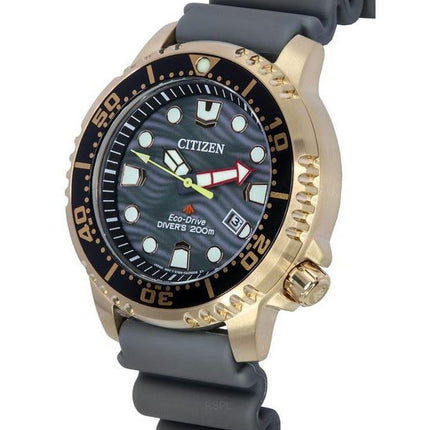 Citizen Promaster Eco-Drive Diver's BN0163-00H 200M Herrenuhr mit grauem Zifferblatt